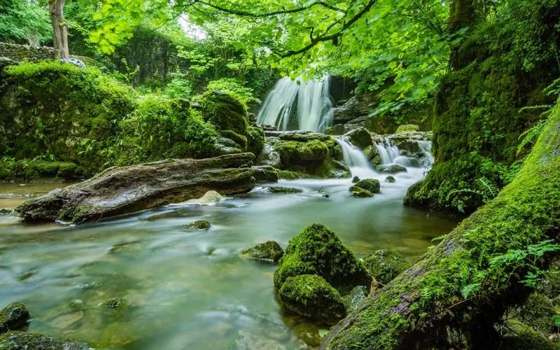 绿色高性能环保